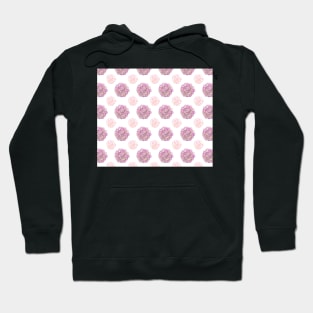 Rose and blush succulents Hoodie